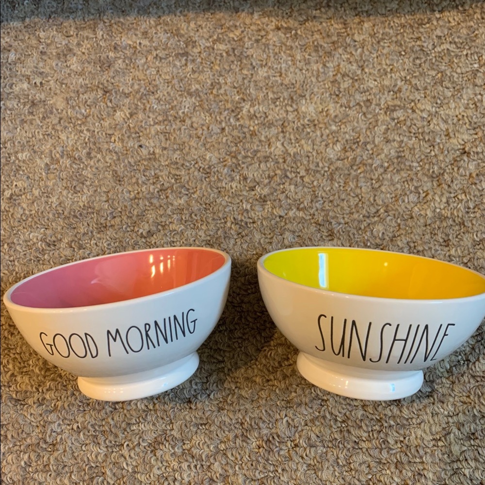 Rae Dunn Small Cereal Colored 6” Bowls Set of 2